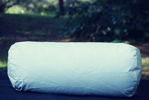 Travel Size Pillow With 1 Pillow Case Buckwheat Therapy