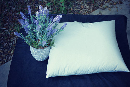 Travel Size Pillow With 1 Pillow Case Buckwheat Therapy